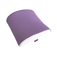 iCare Back Cushion