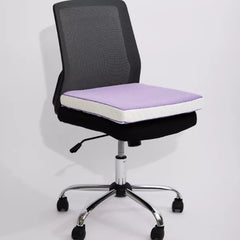 iCare Seat Cushion