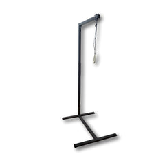 iCare Over Bed Self Help Pole