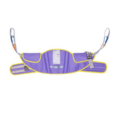 Cobalt Health Stand Aid Belt/Standing Sling with Back Support