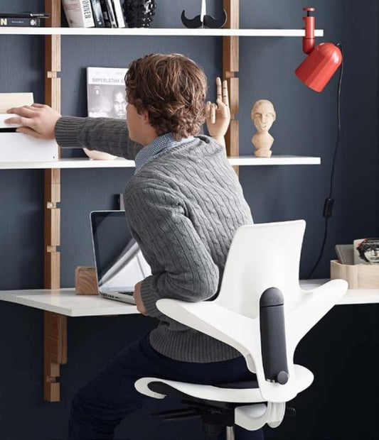 Comparing HÅG Capisco Puls 8010 and 8020: Which Chair Is Right for You?