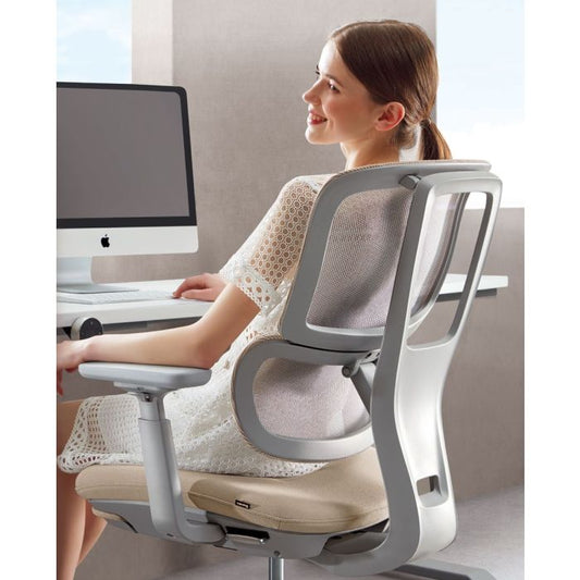 The Science of Ergonomics: How the Apollo Bifma Ergonomic Task Chair Supports Your Well-Being