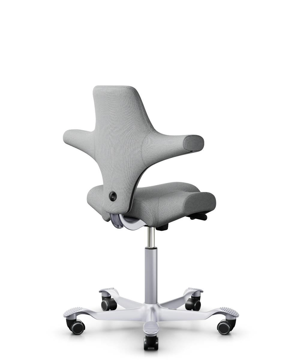 HÅG Capisco Chair Ergonomic Saddle Seat