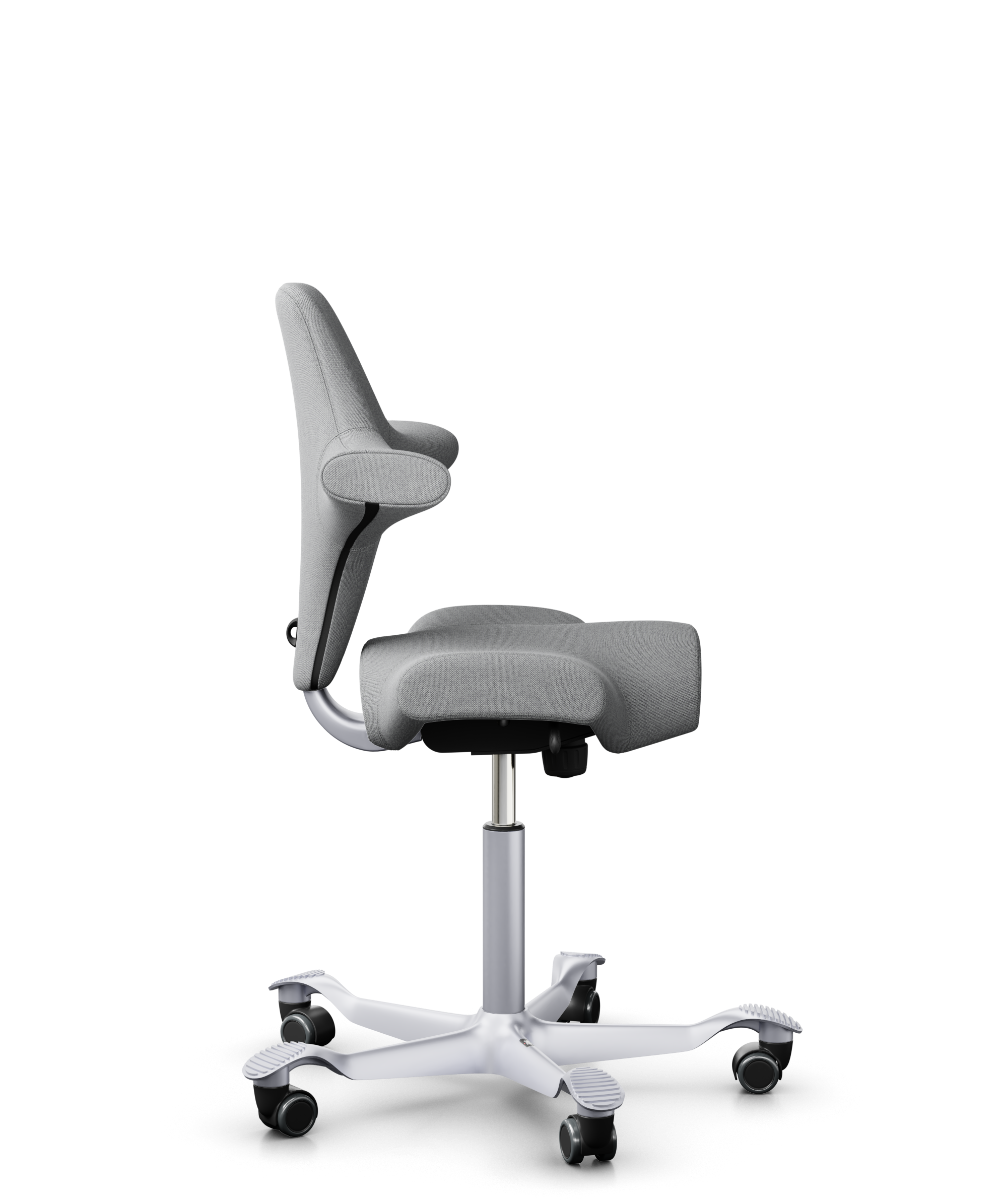HÅG Capisco Chair Ergonomic Saddle Seat