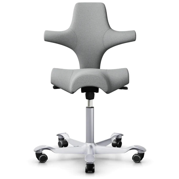 HÅG Capisco Chair Ergonomic Saddle Seat