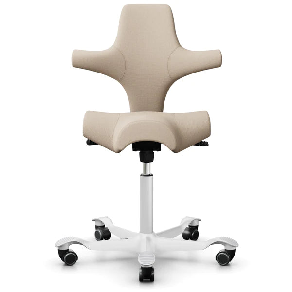 HÅG Capisco Chair Ergonomic Saddle Seat