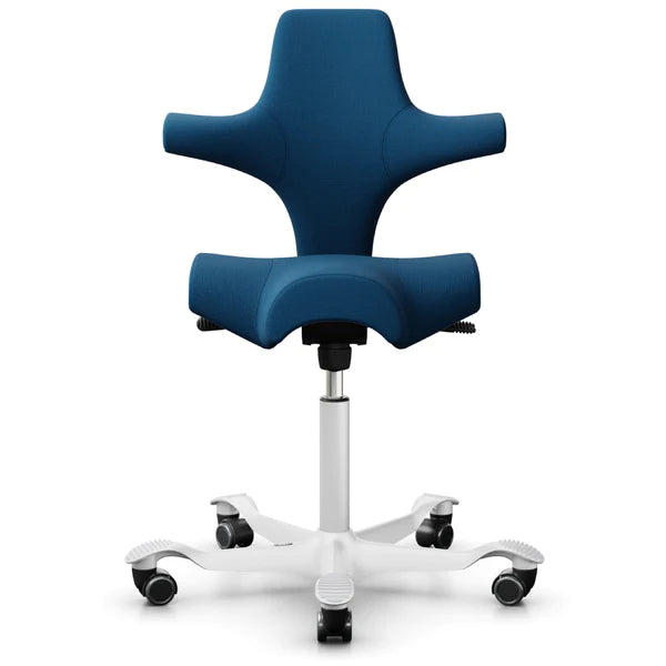 HÅG Capisco Chair Ergonomic Saddle Seat