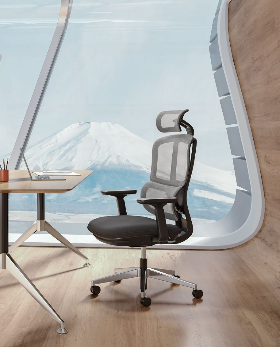 Apollo Bifma Ergonomic Task Chair by Humb