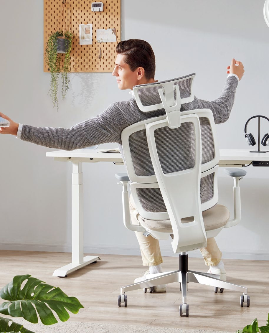 Apollo Bifma Ergonomic Task Chair by Humb