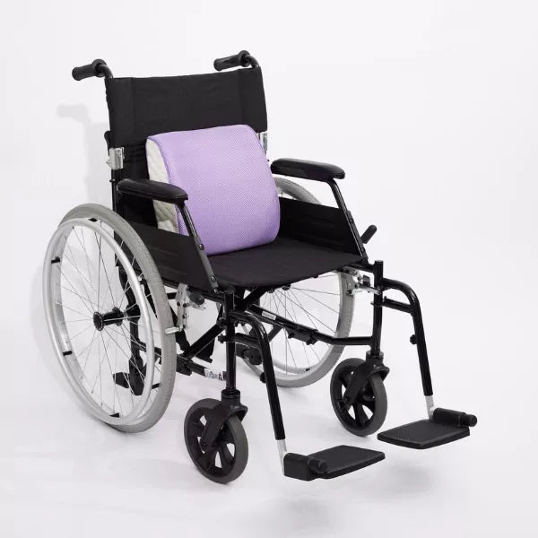 iCare Back Cushion