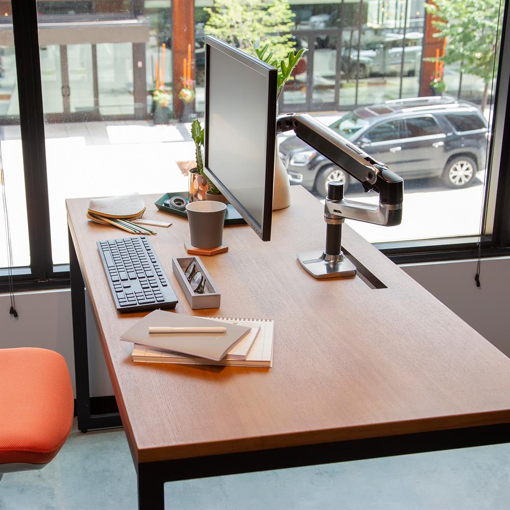 Ergotron LX Desk Mount LCD Arm  - Polished Aluminium