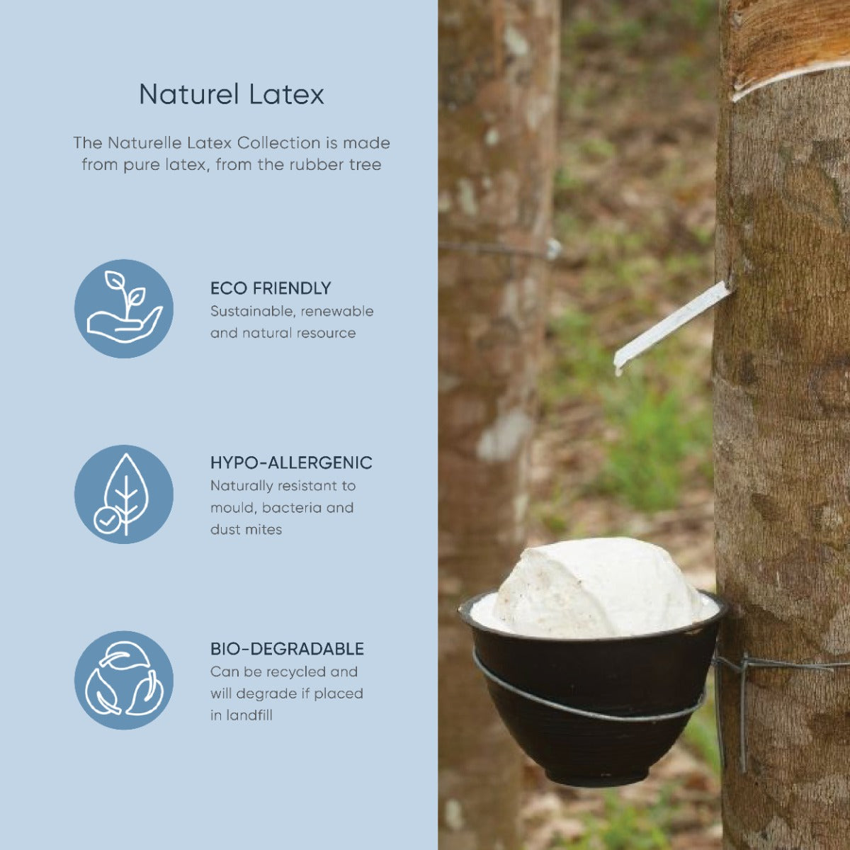 Therapeutic Pillow Naturelle Latex Mattress Topper - Premium Natural Latex Mattress Pad