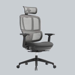 Apollo Bifma Ergonomic Task Chair by Humb