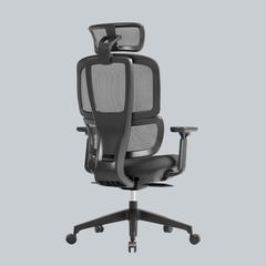 Apollo Bifma Ergonomic Task Chair by Humb