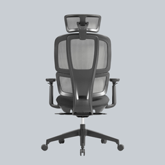 Apollo Bifma Ergonomic Task Chair by Humb