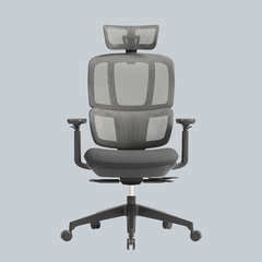 Apollo Bifma Ergonomic Task Chair by Humb