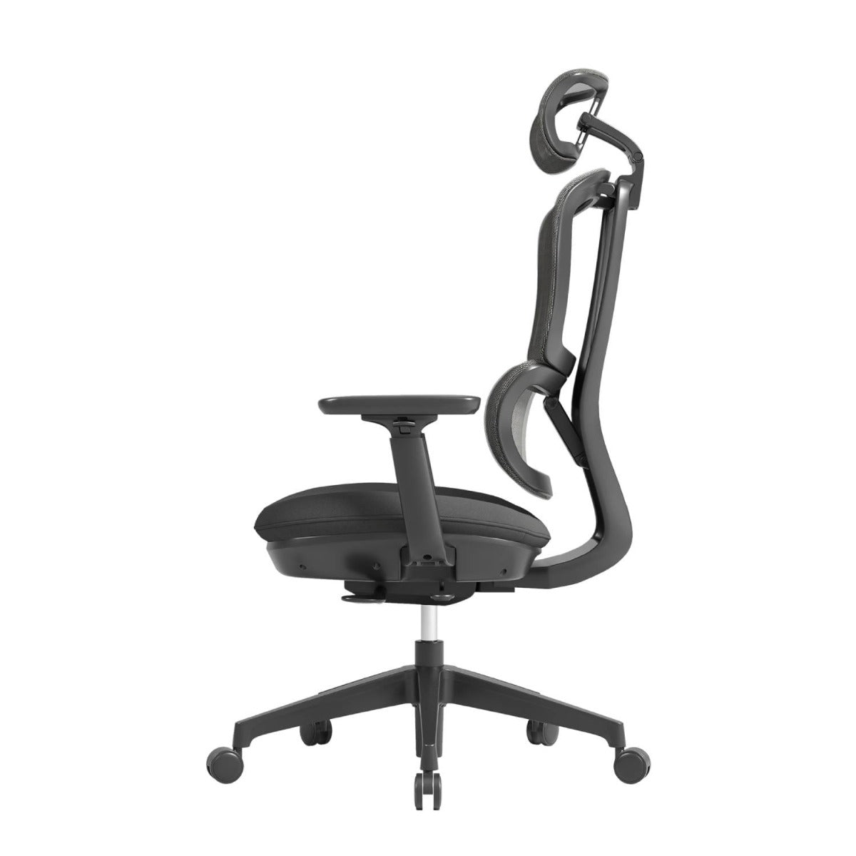 Apollo Bifma Ergonomic Task Chair by Humb