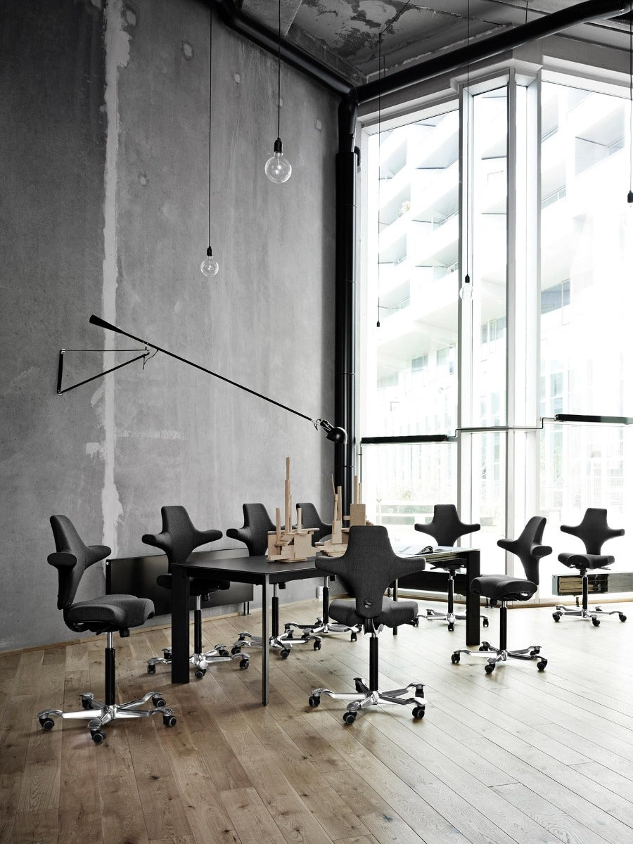 HÅG Capisco Chair Ergonomic Saddle Seat
