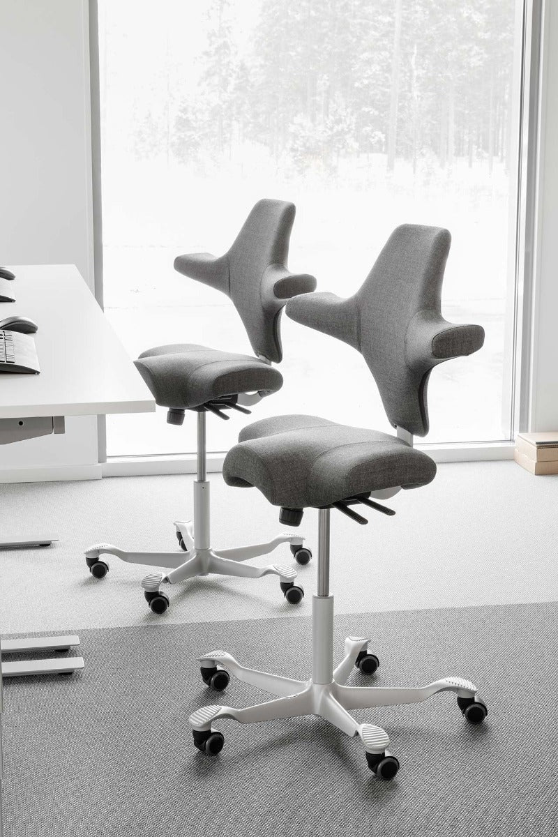 HÅG Capisco Chair Ergonomic Saddle Seat