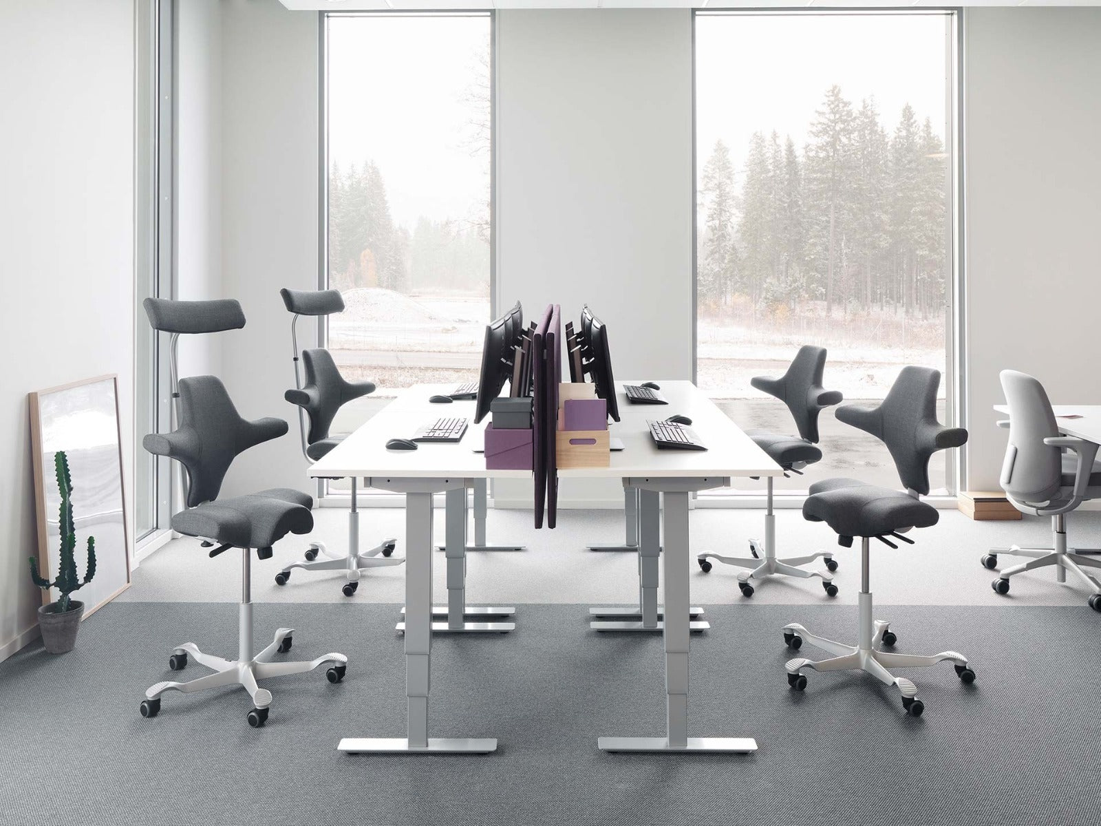 HÅG Capisco Chair Ergonomic Saddle Seat