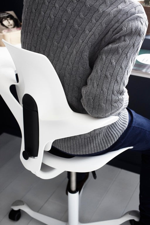HÅG Capisco Puls  8020 Chair Ergonomic Saddle Seat