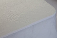 Bambi Health Assurance -Coolpass Mattress Protector Pack
