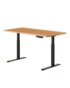 Artiss Standing Desk - Adjustable Sit Stand Wooden Table Motorized Desk - Dual Motors 140cm Wood/Black